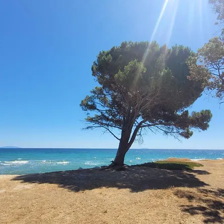 Lägenhet Location De