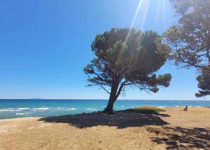 Appartement Location De